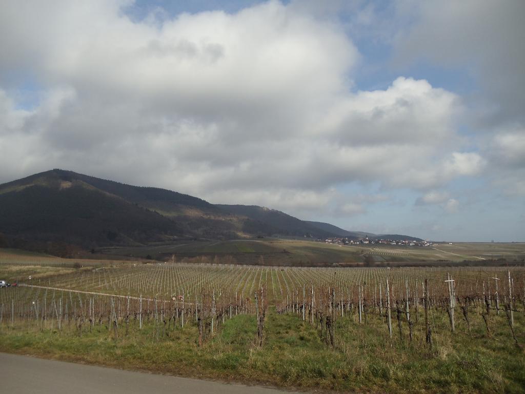 Weinhotel Kienle Burrweiler Esterno foto