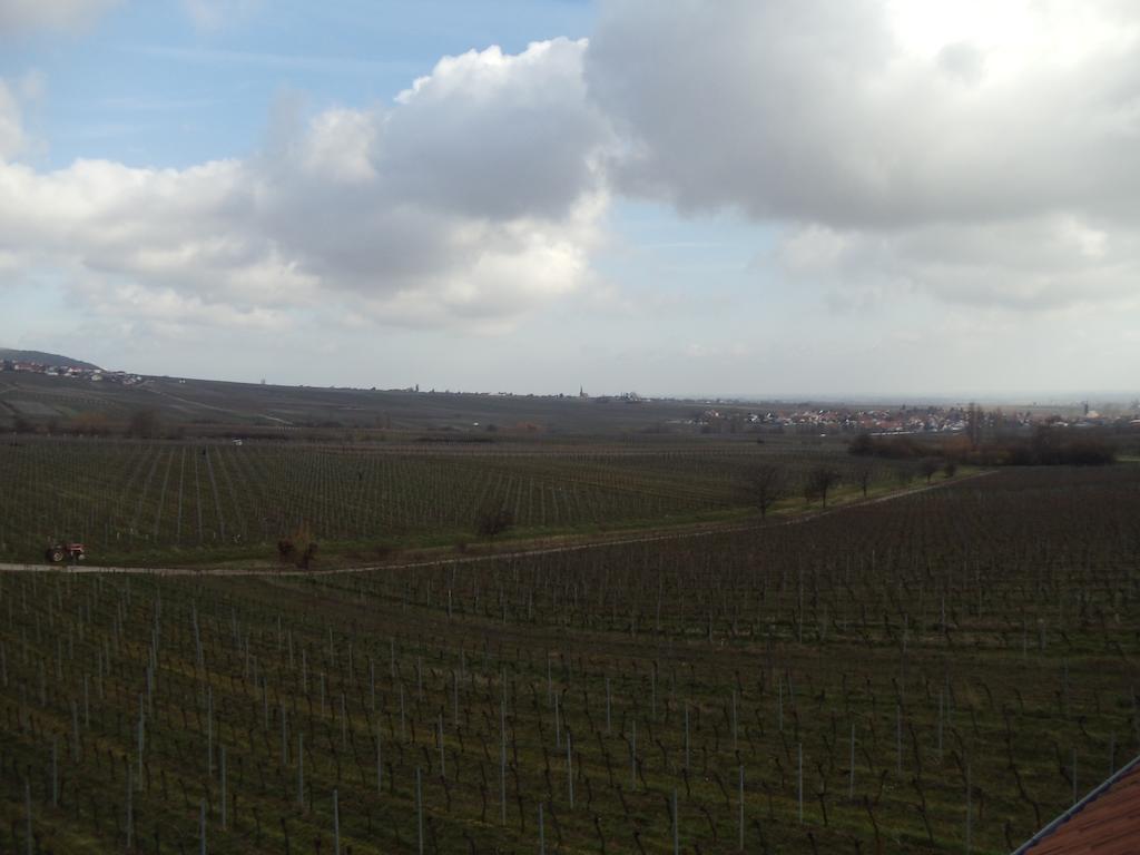 Weinhotel Kienle Burrweiler Esterno foto