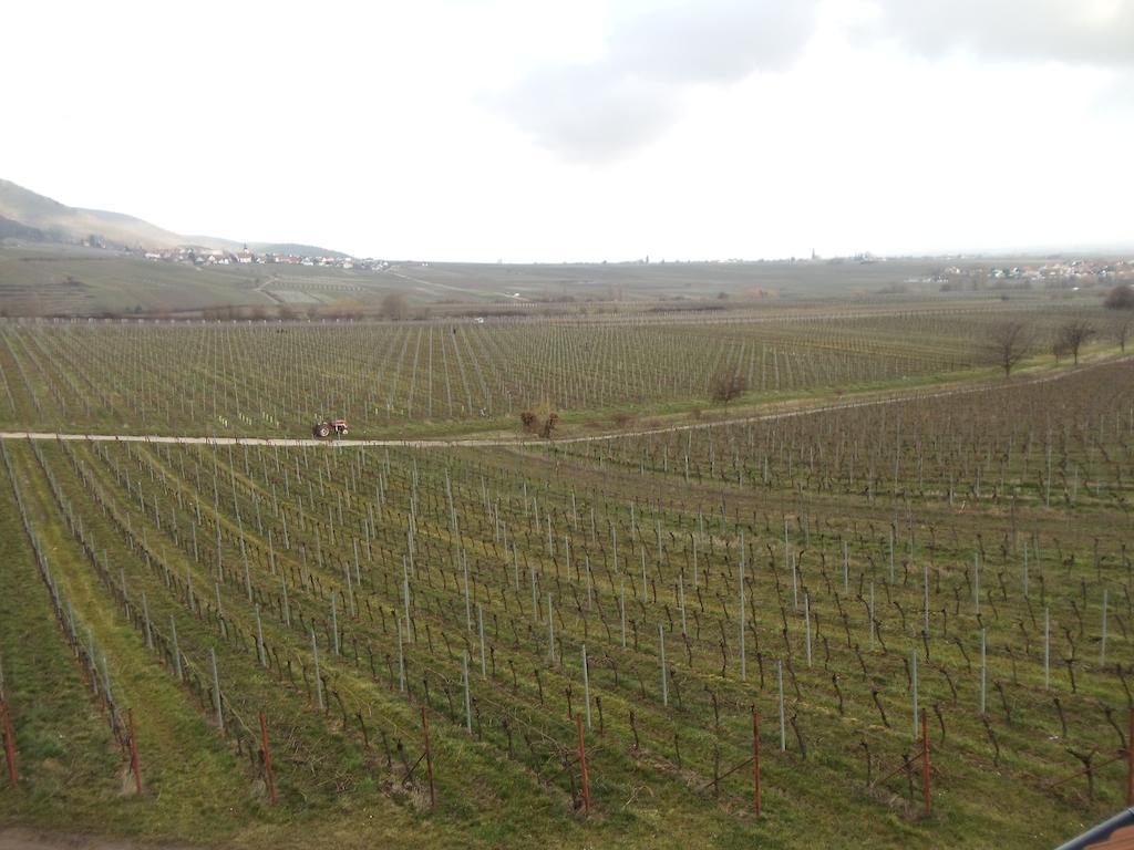 Weinhotel Kienle Burrweiler Esterno foto